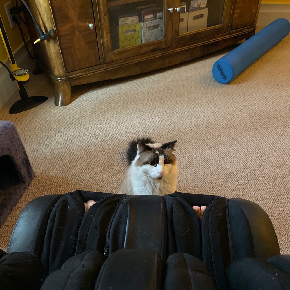 Meet your Posher, Kelly